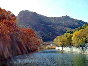 澳门期期准免费精准，王祖贤 林建岳